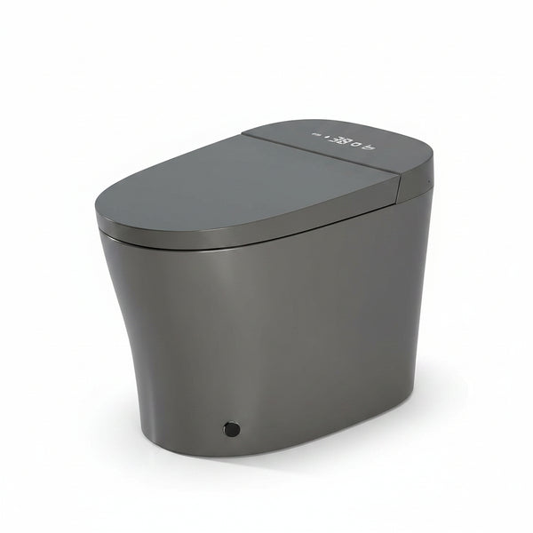 Smart Toilet with Bidet Built In, ADA One-Piece Toilet Auto Open/Close & Flush, Heated Seat, Front & Rear Wash, LED Display, Night Light, 12-Inch Rough-In (Matte Grey)